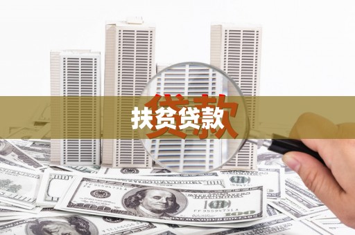 临邑扶贫贷款