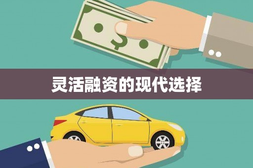 临邑灵活融资的现代选择