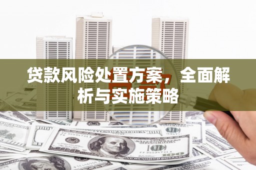 临邑贷款风险处置方案，全面解析与实施策略
