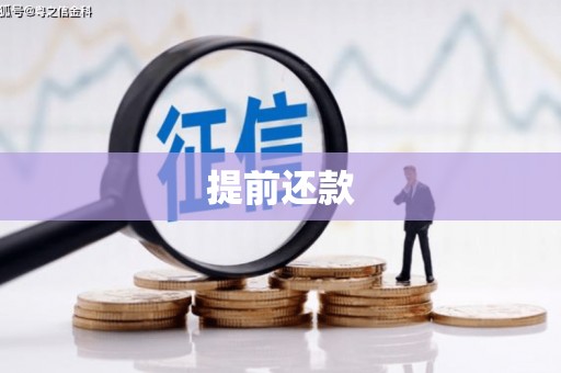 临邑提前还款