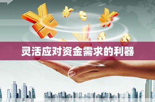 临邑灵活应对资金需求的利器