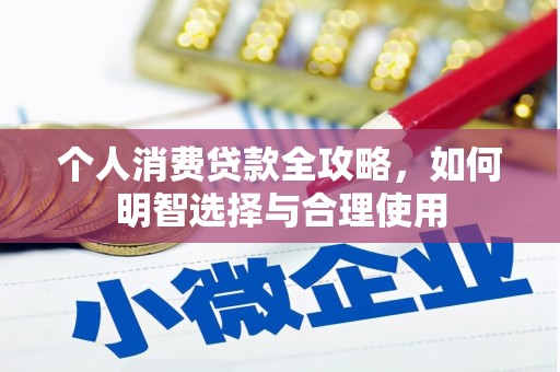临邑个人消费贷款全攻略，如何明智选择与合理使用