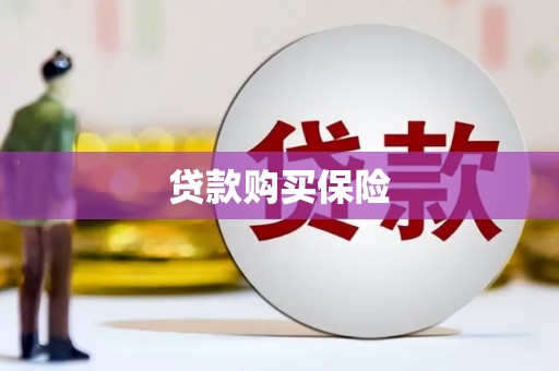 临邑贷款购买保险