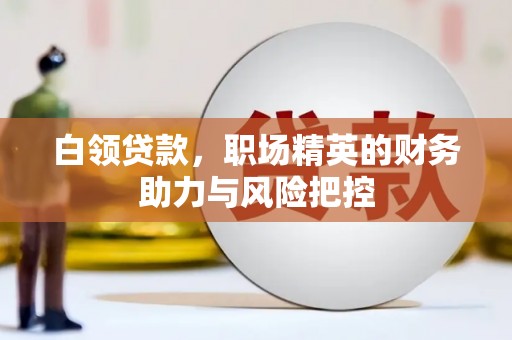 临邑白领贷款，职场精英的财务助力与风险把控